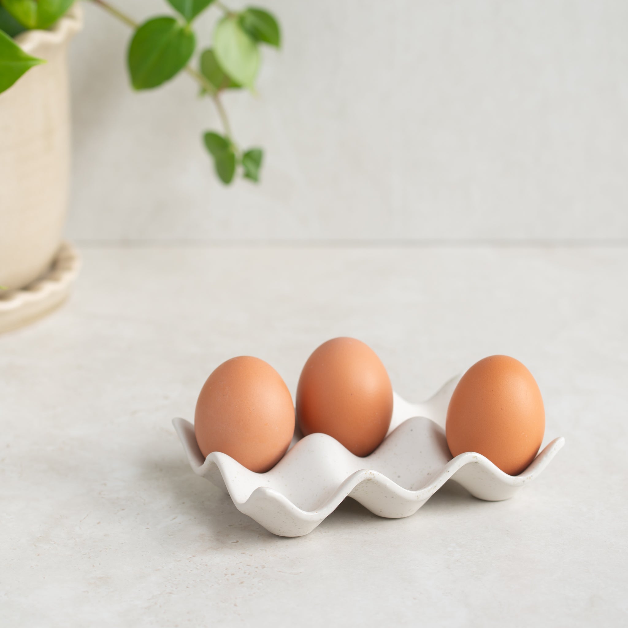 Ceramic Egg Tray | 6 | Nordic Vanilla