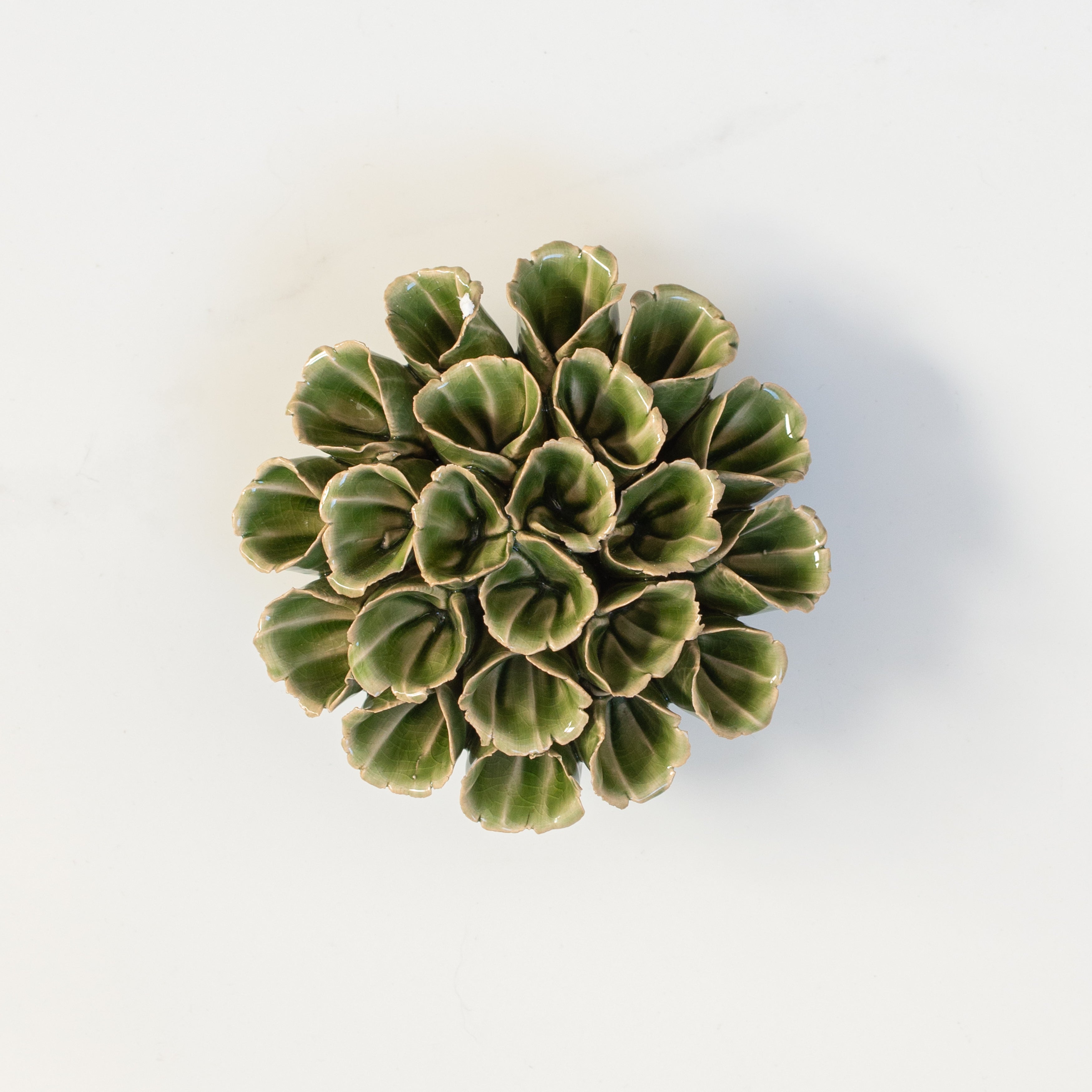Ceramic Succulent | Green
