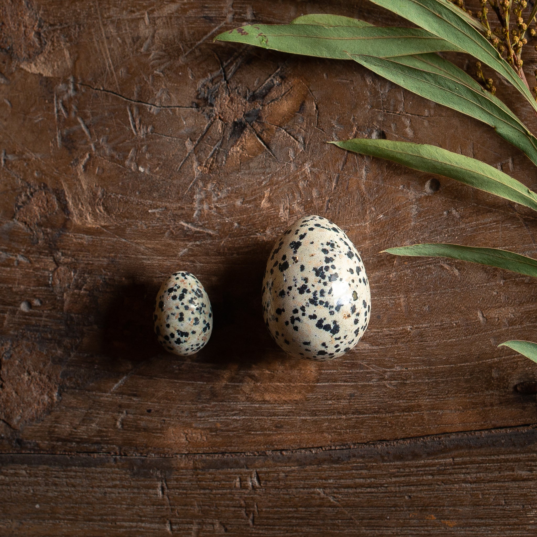 Dalmatian Jasper Egg