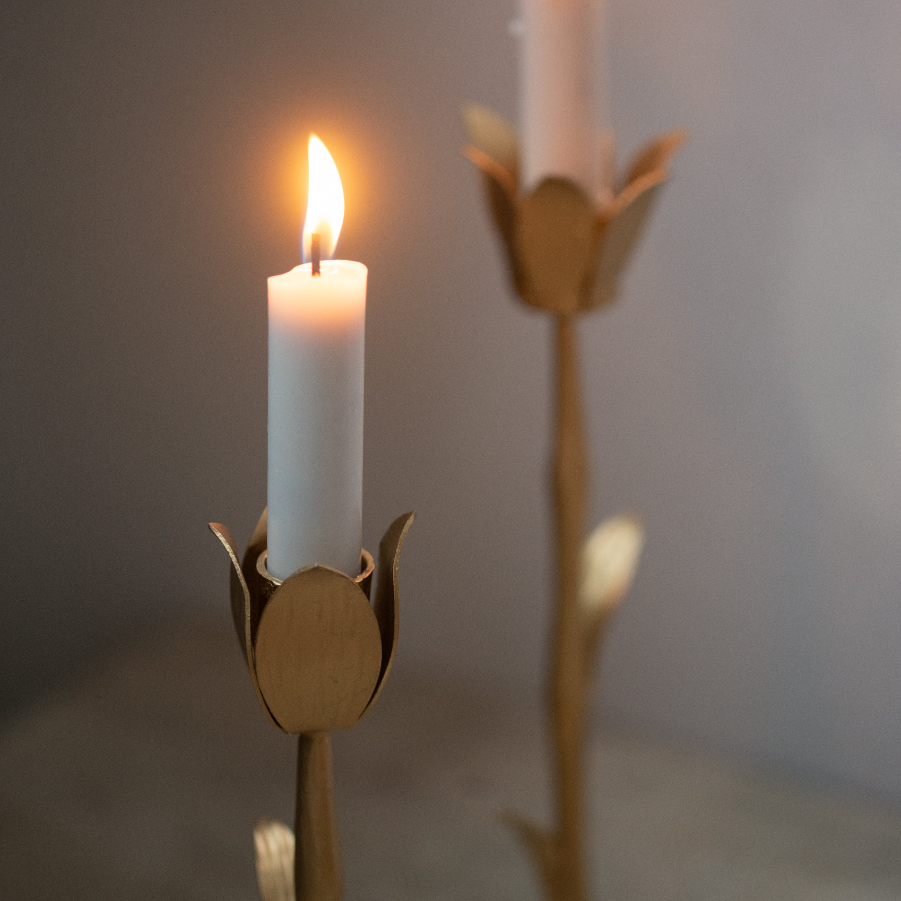 Forged | Artisan Bloom | Petal + Tulip