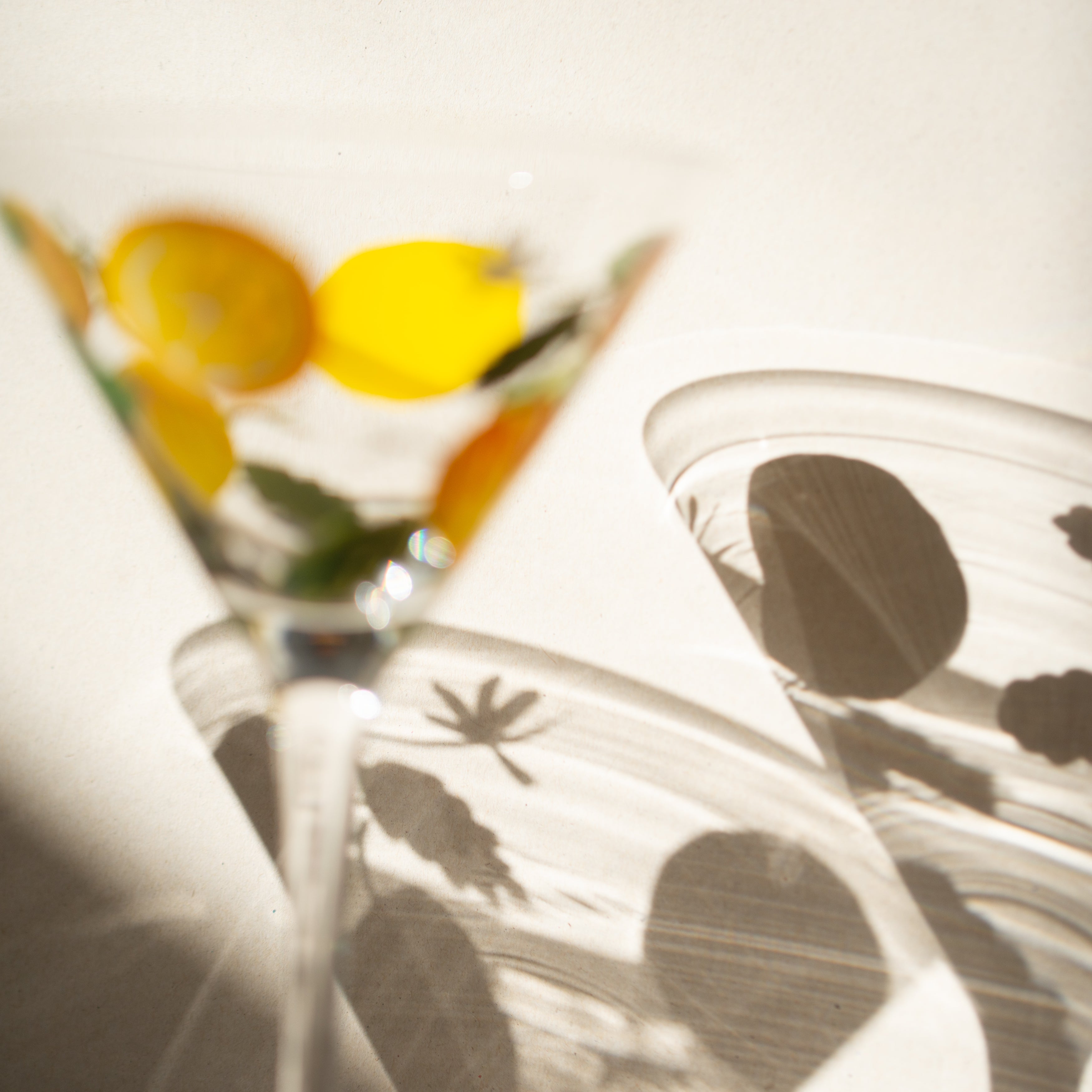 Martini Glass | Limone | Set of 4