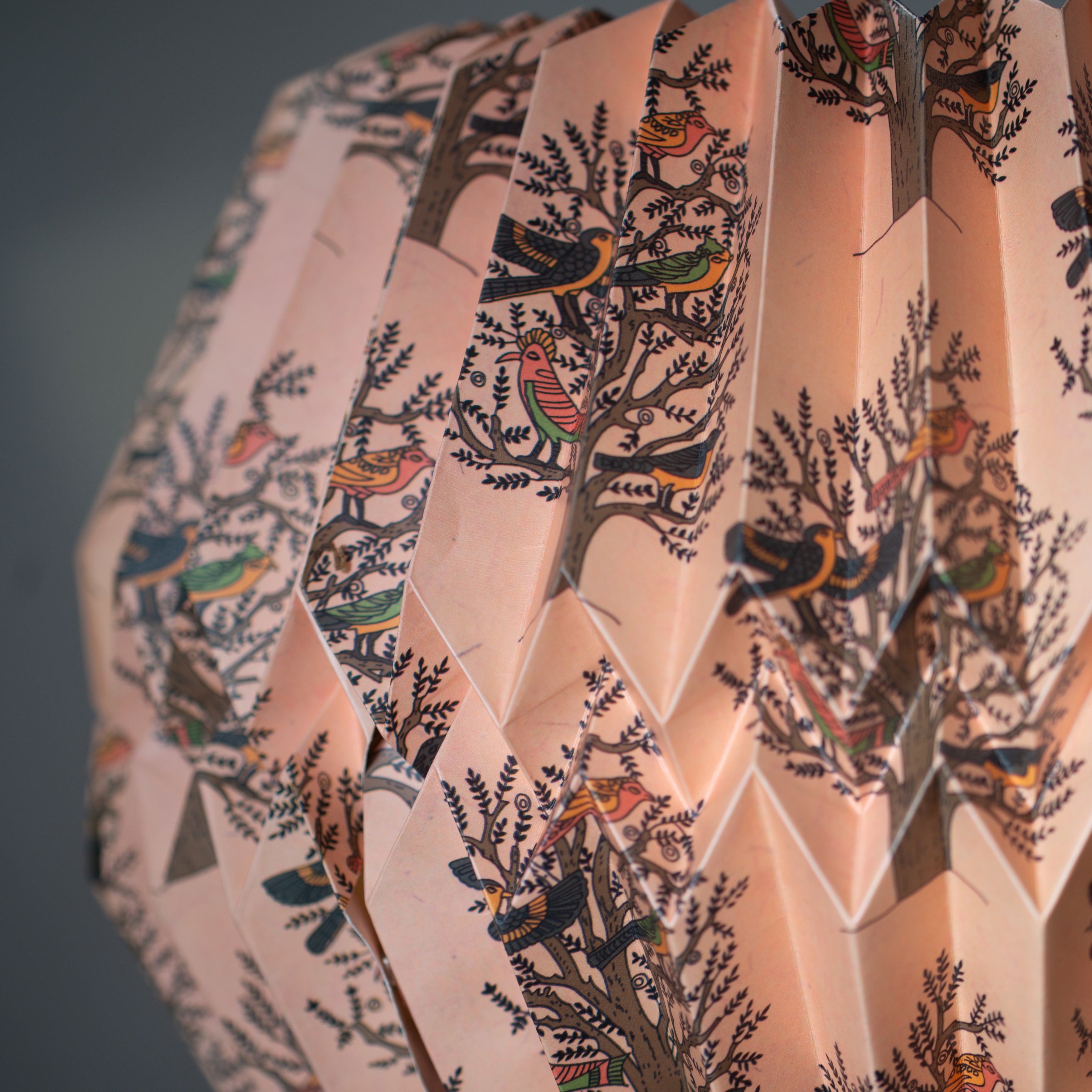 Pleated | Paper Light Shade | Sartene | Trees