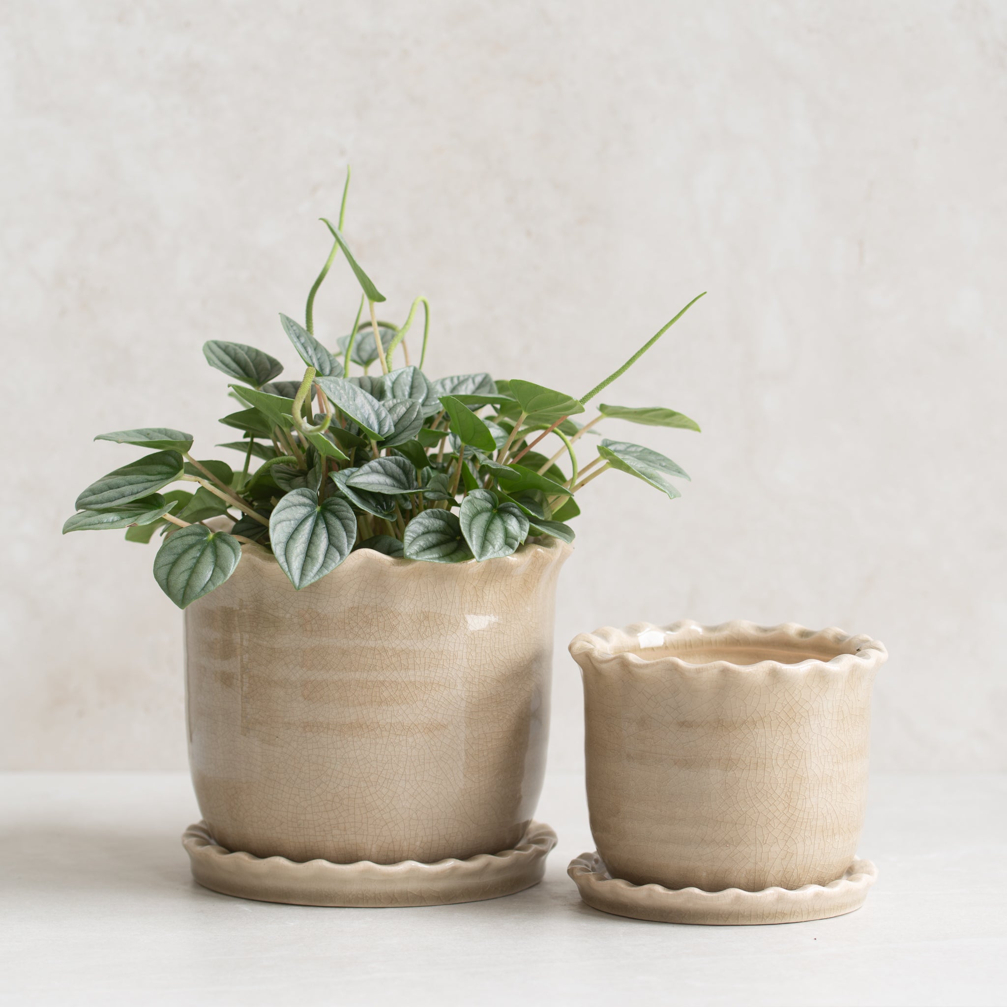 Zara Ceramic Planter Pots