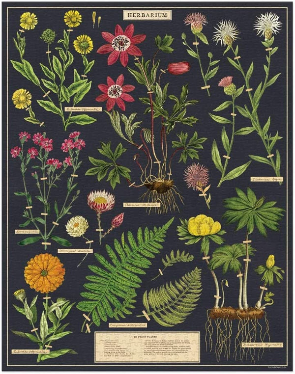 Puzzle | Herbarium  (1000 Pieces)