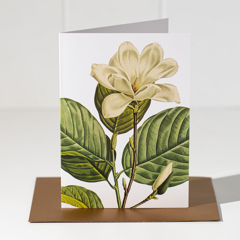Folklore Greeting Card | Magnolia Illustration