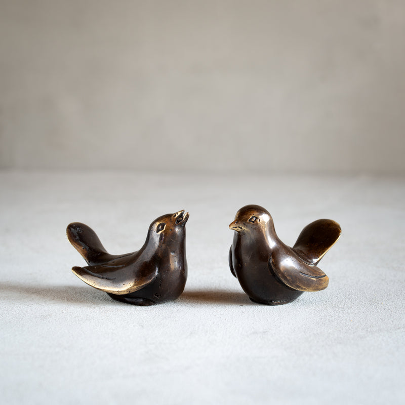 Little Bronze Bird | Nesting Pair