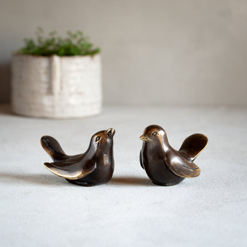 Little Bronze Bird | Nesting Pair