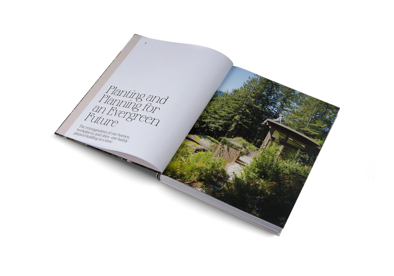 Book | Evergreen Architecture