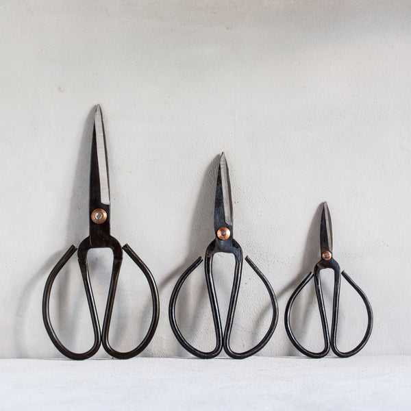 Herb Scissors | Black - Set of 3