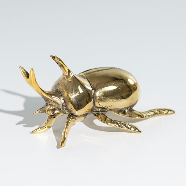 Bronze Rhino Beetle