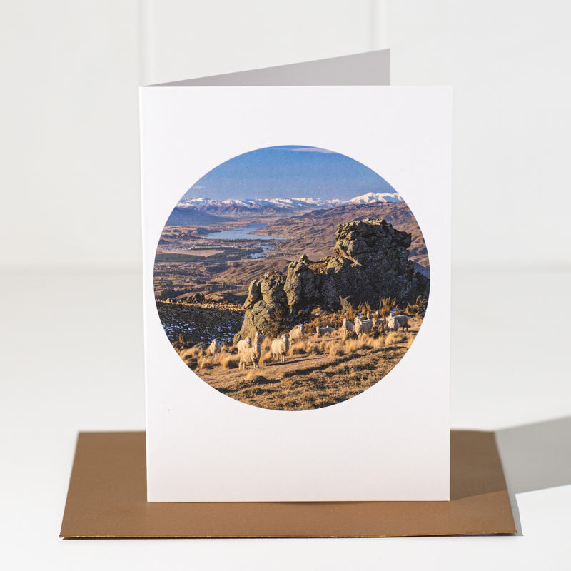 NZ Landscape Greeting Card | Merino Sheep Duffers Saddle