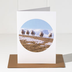 NZ Landscape Greeting Card | Merino Sheep & Hawkduns