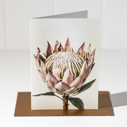 Floral Greeting Card | Protea Flower