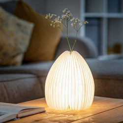 LED Vase Lamp with flowers | American Walnut wooden base | Folklore Store NZ