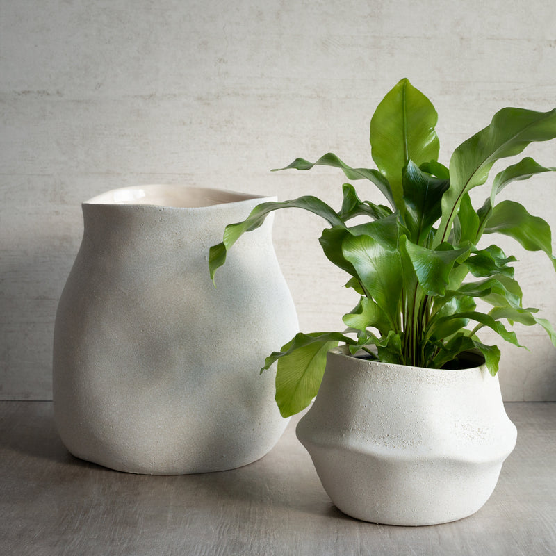 Maliah Planter | Short - Small and tall large with plants