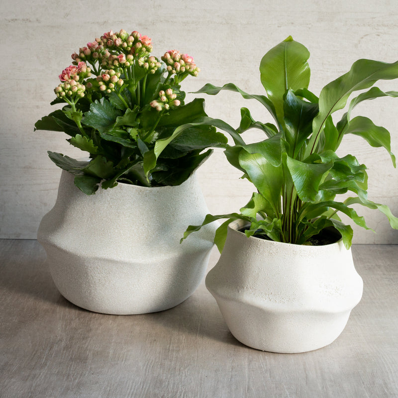Maliah Planter | Short - Small and short - large with plants