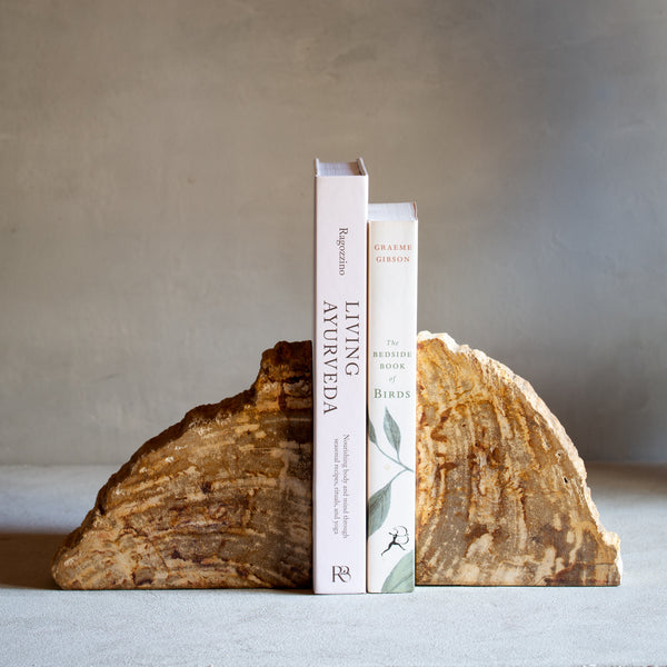 Petrified Wood Bookends |  Set (A)