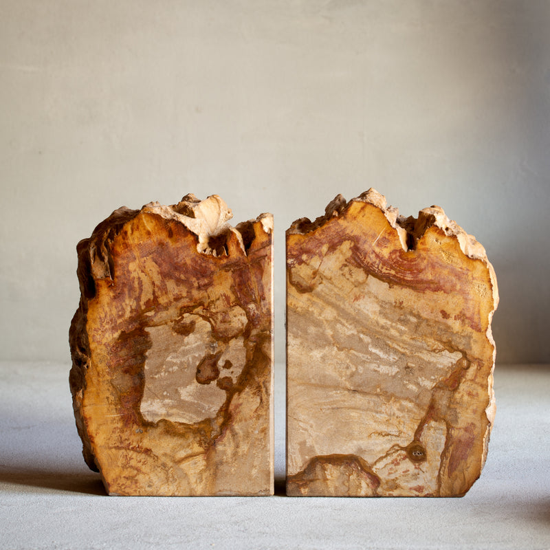 Petrified Wood Bookends |  Set (B)