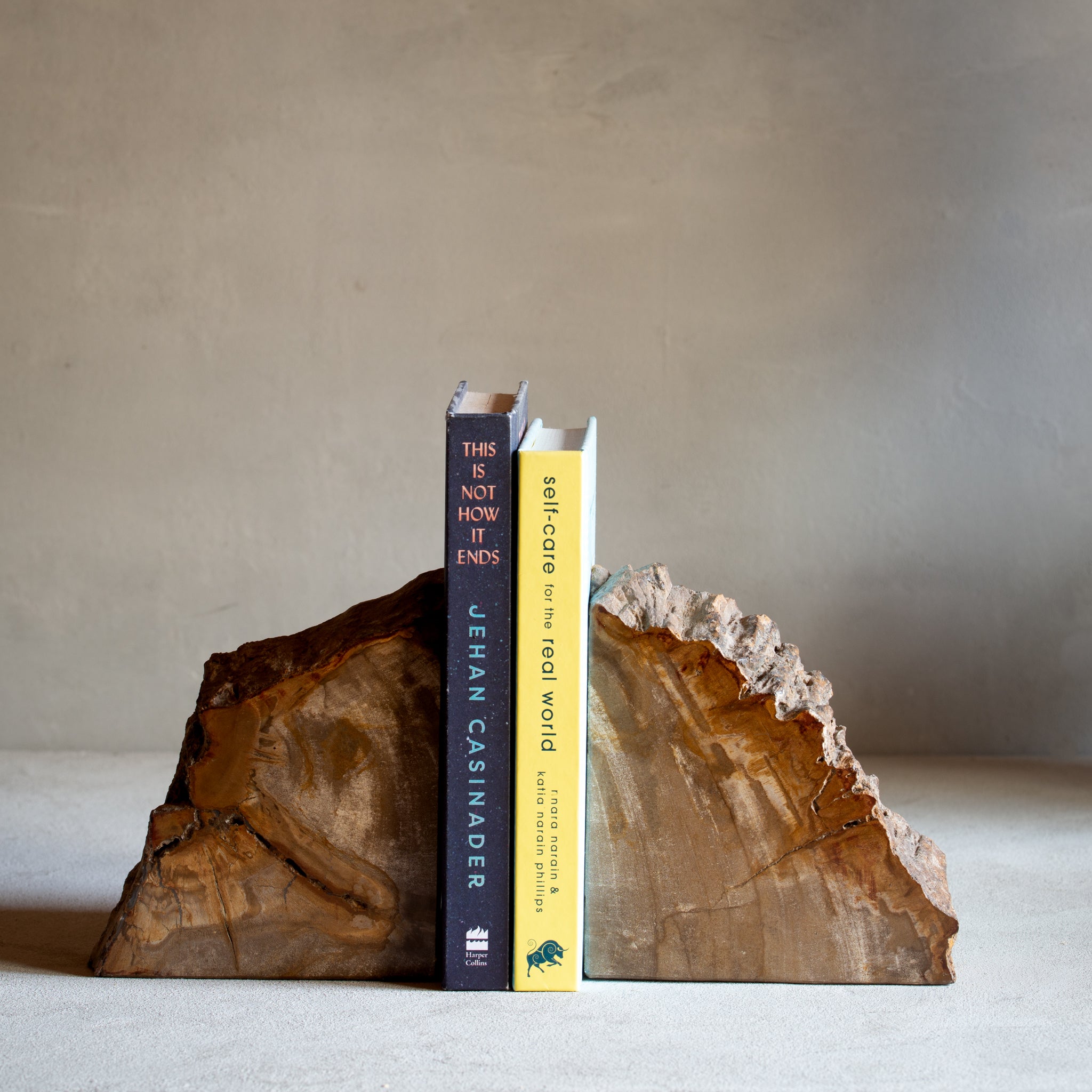 Petrified Wood Bookends NZ Book End Set A