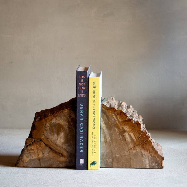 Petrified Wood Bookends | Set (H)
