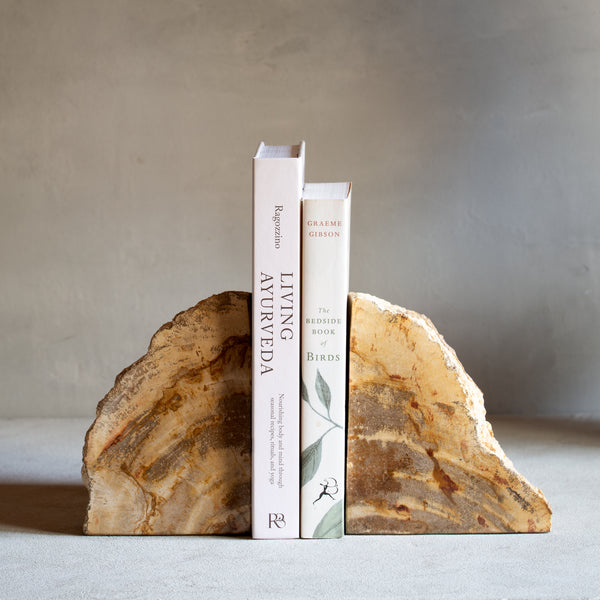 Petrified Wood Bookends | Set (I)
