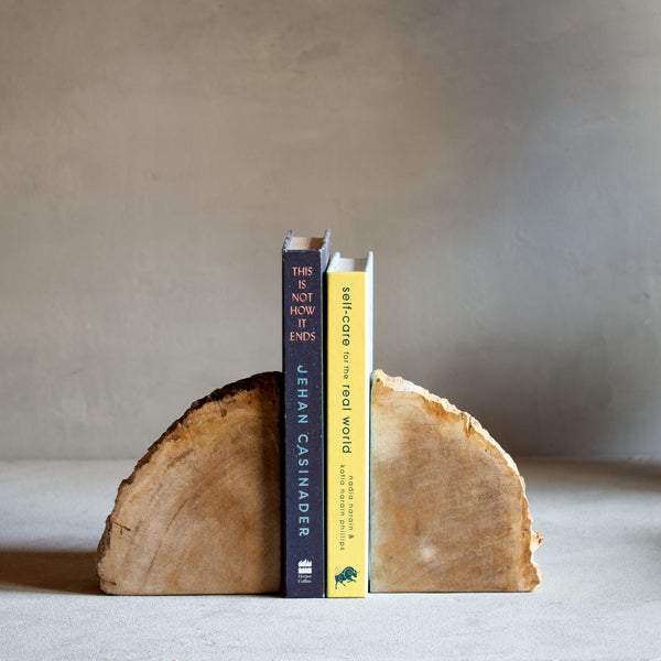 Petrified Wood Bookends | Set (J)