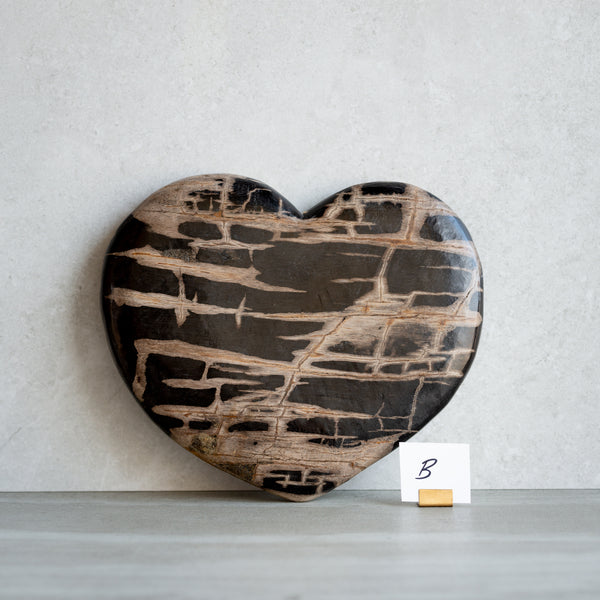 Petrified Wood | Large Love Heart (B)