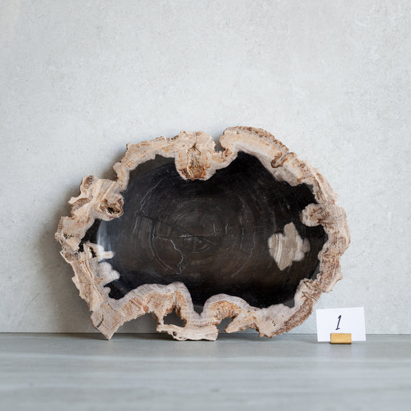 Petrified Wood Plate | Example '1'