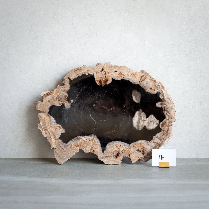 Petrified Wood Plate | Example '4'