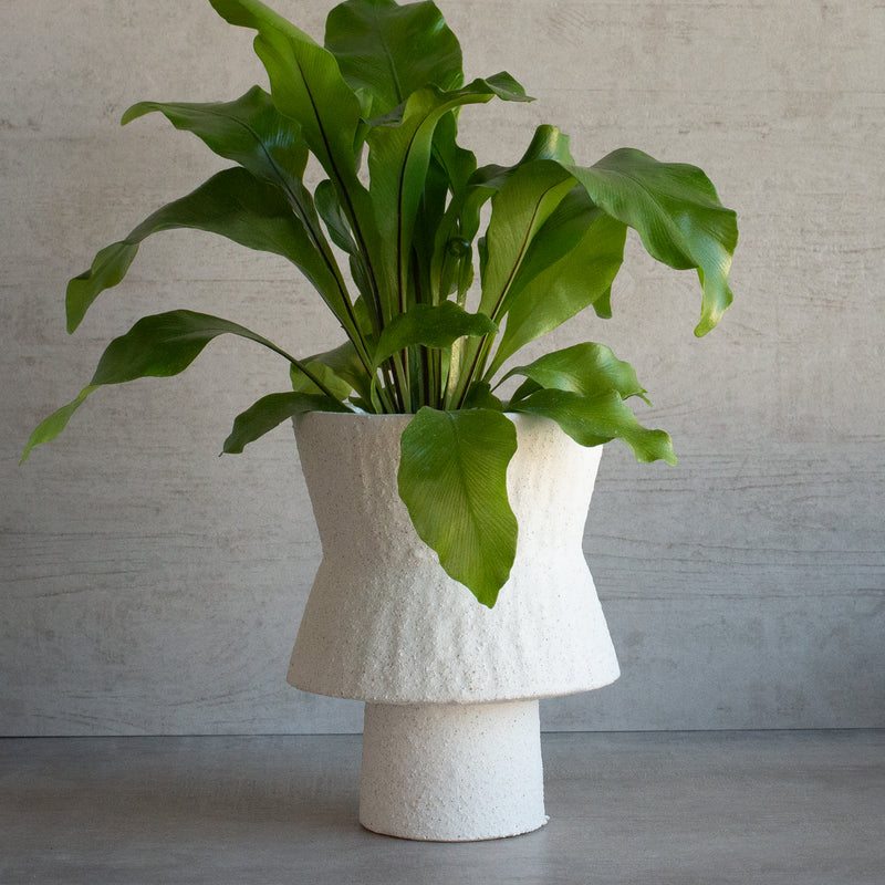 Secolo Vase | Large