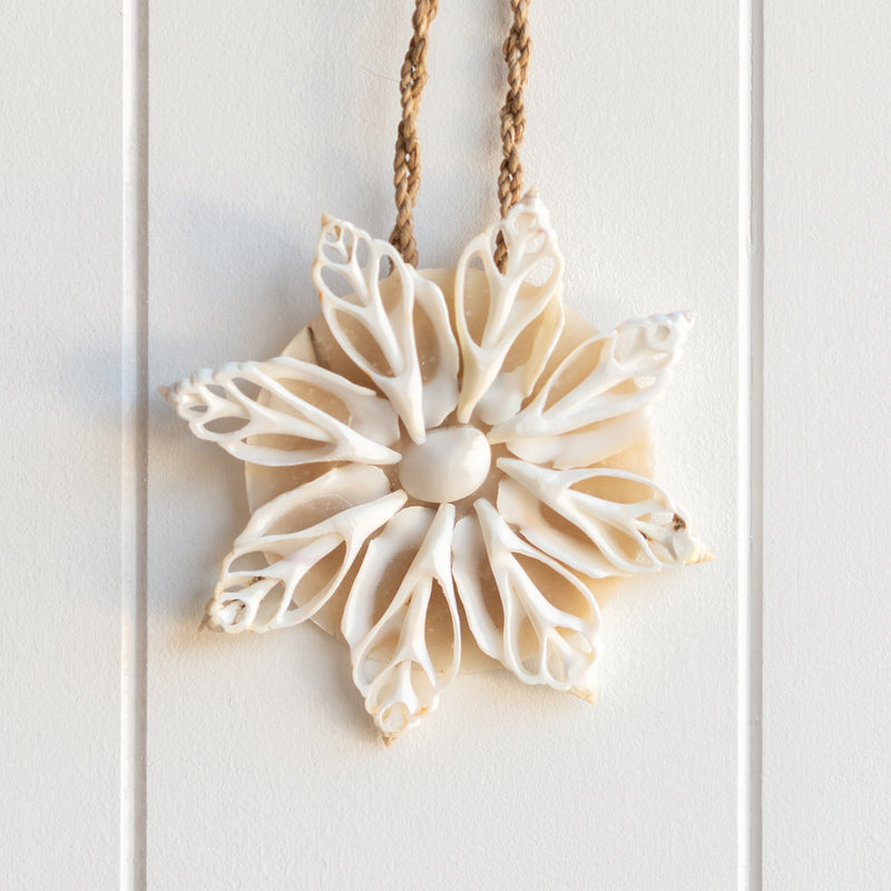 Folklore Shell Decoration | Design D