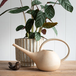 Watering Can / Jug | Speckled Stoneware Garden to Table range