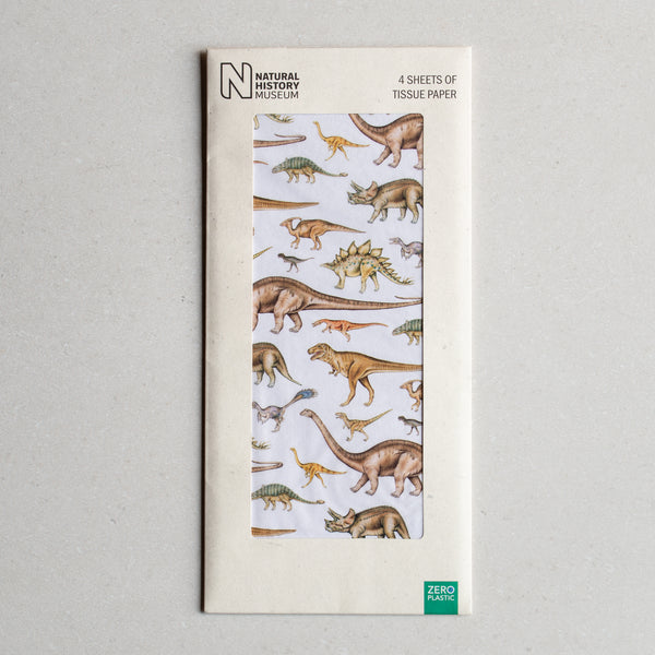 Printed Tissue Paper | Dinosaurs Pattern