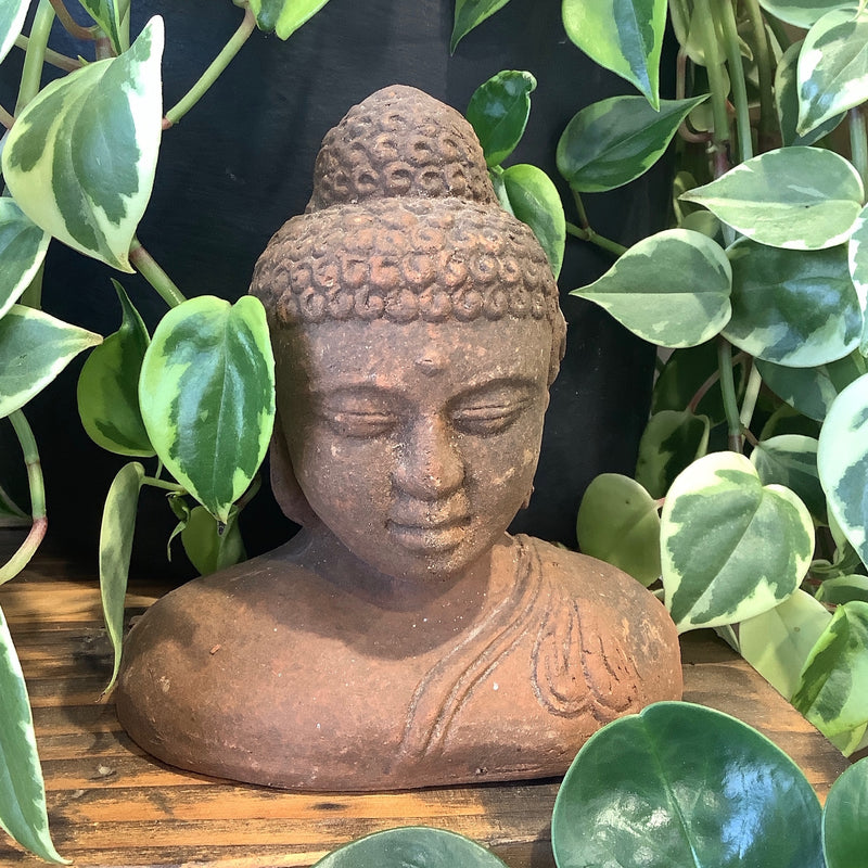 Buddha Head |Terracotta