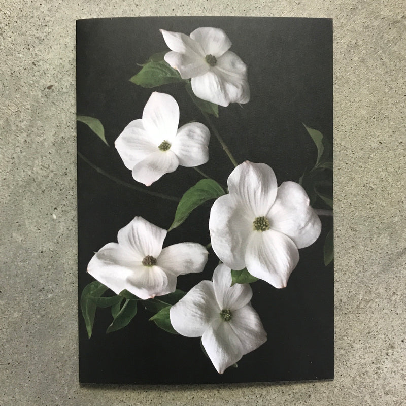 Floral Greeting Card | Dogwood Flowers