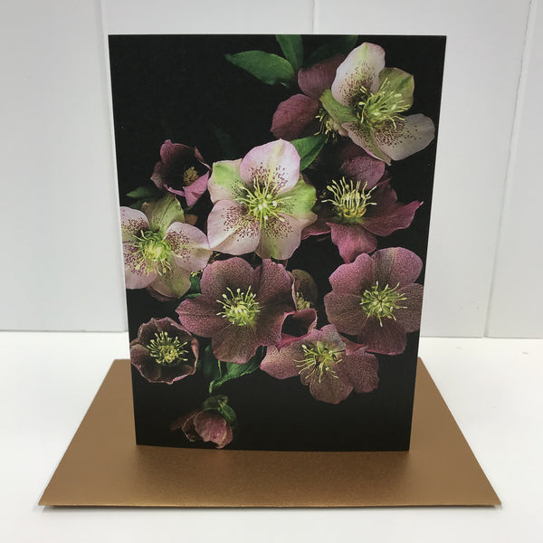 Floral Greeting Card | Hellebore Flowers