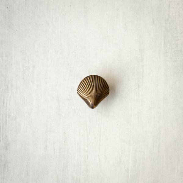 Brass Drawer Knob | Scallop Shell