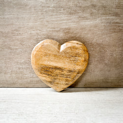 Petrified Wood | Love Heart 10cm | F