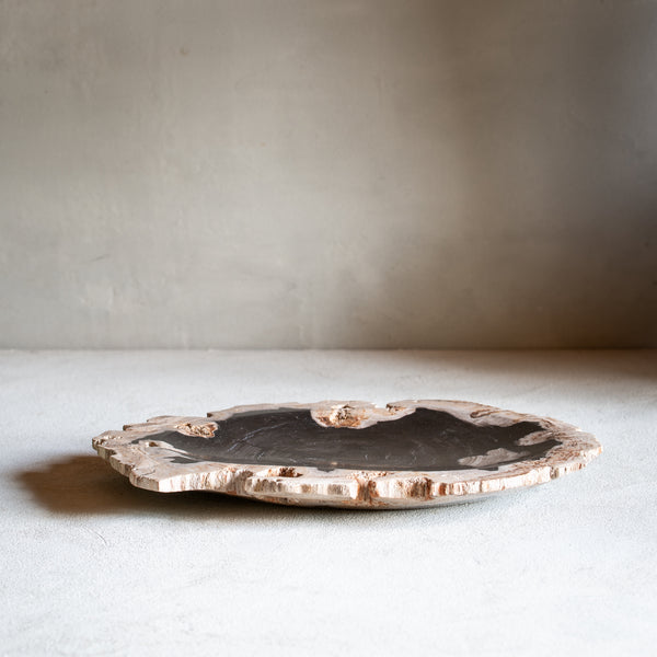 Petrified Wood Plate | Example '1'