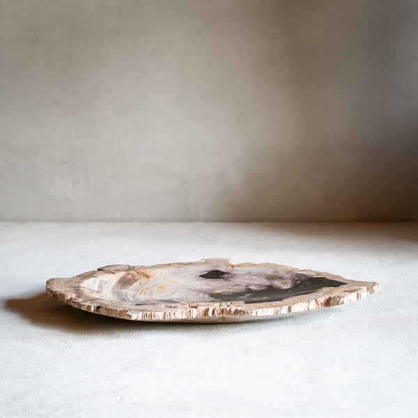 Petrified Wood Plate | Example '2'