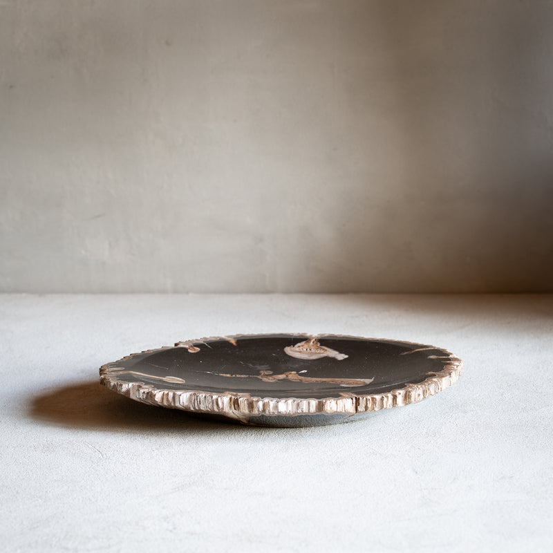 Petrified Wood Plate | Example '3'