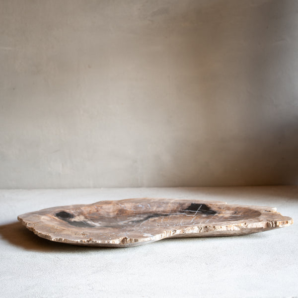Petrified Wood Plate | Example '5'