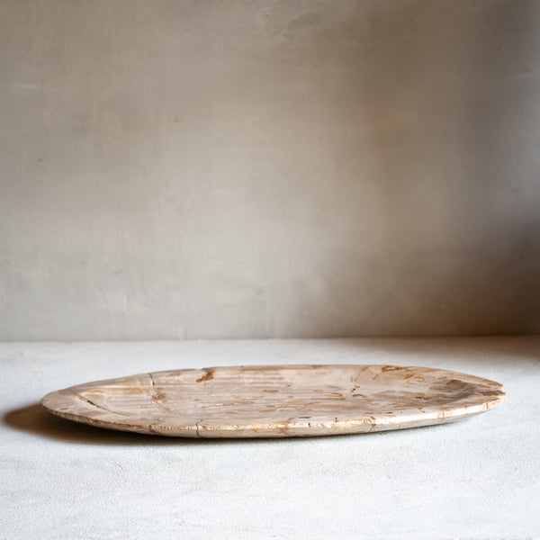 Petrified Wood Plate | Example '6'