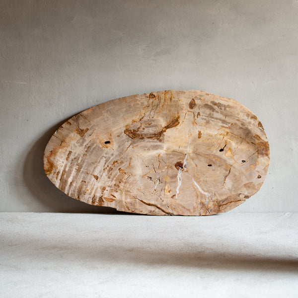 Petrified Wood Plate | Example '7'