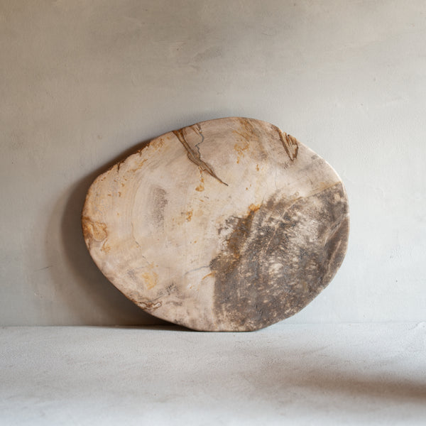 Petrified Wood Plate | 'A'