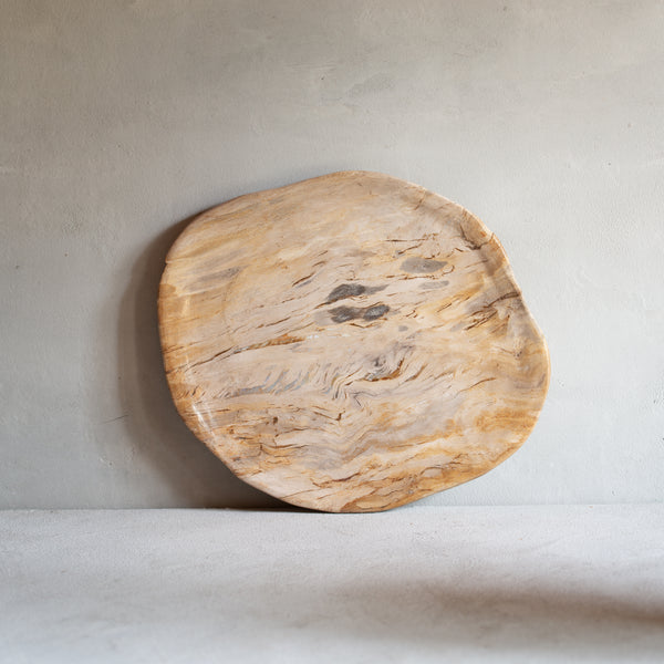 Petrified Wood Plate | 'C'