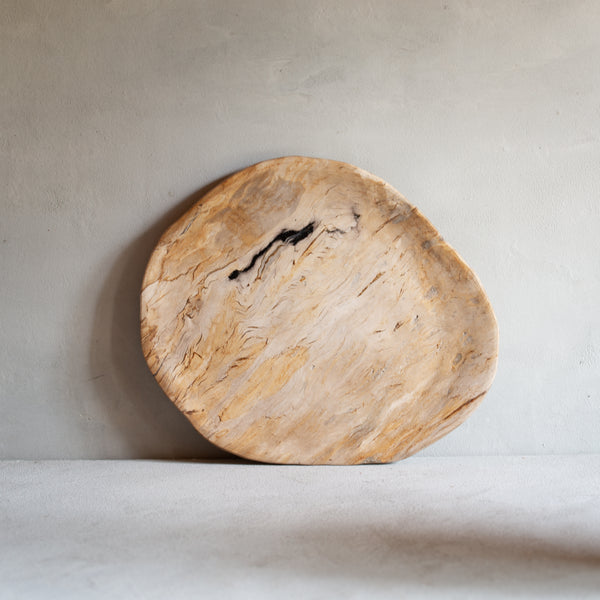 Petrified Wood Plate | 'D'