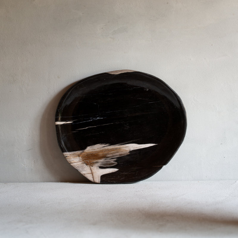 Petrified Wood Plate | 'E'