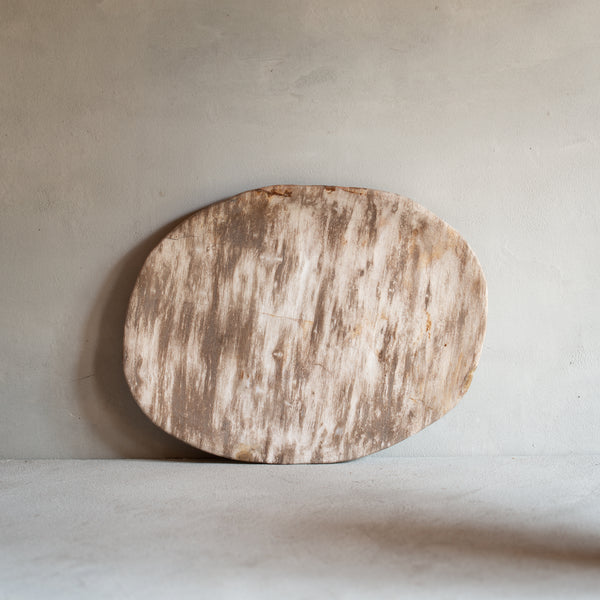 Petrified Wood Plate | 'F'