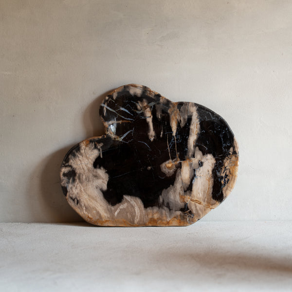 Petrified Wood Plate | 'G'